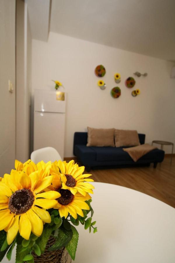 Sunrise Studio Timişoara Eksteriør billede